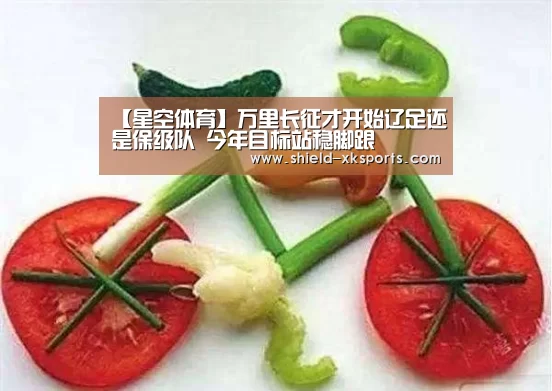 【星空体育】万里长征才开始辽足还是保级队 今年目标站稳脚跟(图3) 【星空体育】万里长征才开始辽足还是保级队 今年目标站稳脚跟(图3)
