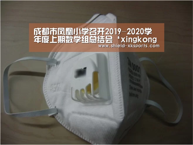 成都市凤凰小学召开2019-2020学年度上期数学组总结会‘xingkong.com’(图2) 星空体育下载