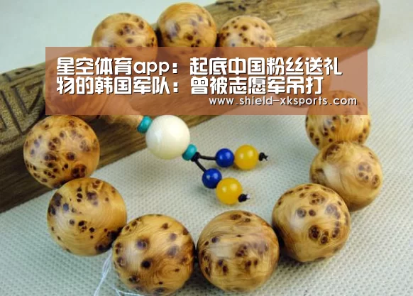 星空体育app:起底中国粉丝送礼物的韩国军队:曾被志愿军吊打(图3) 星空体育app:起底中国粉丝送礼物的韩国军队:曾被志愿军吊打(图3)