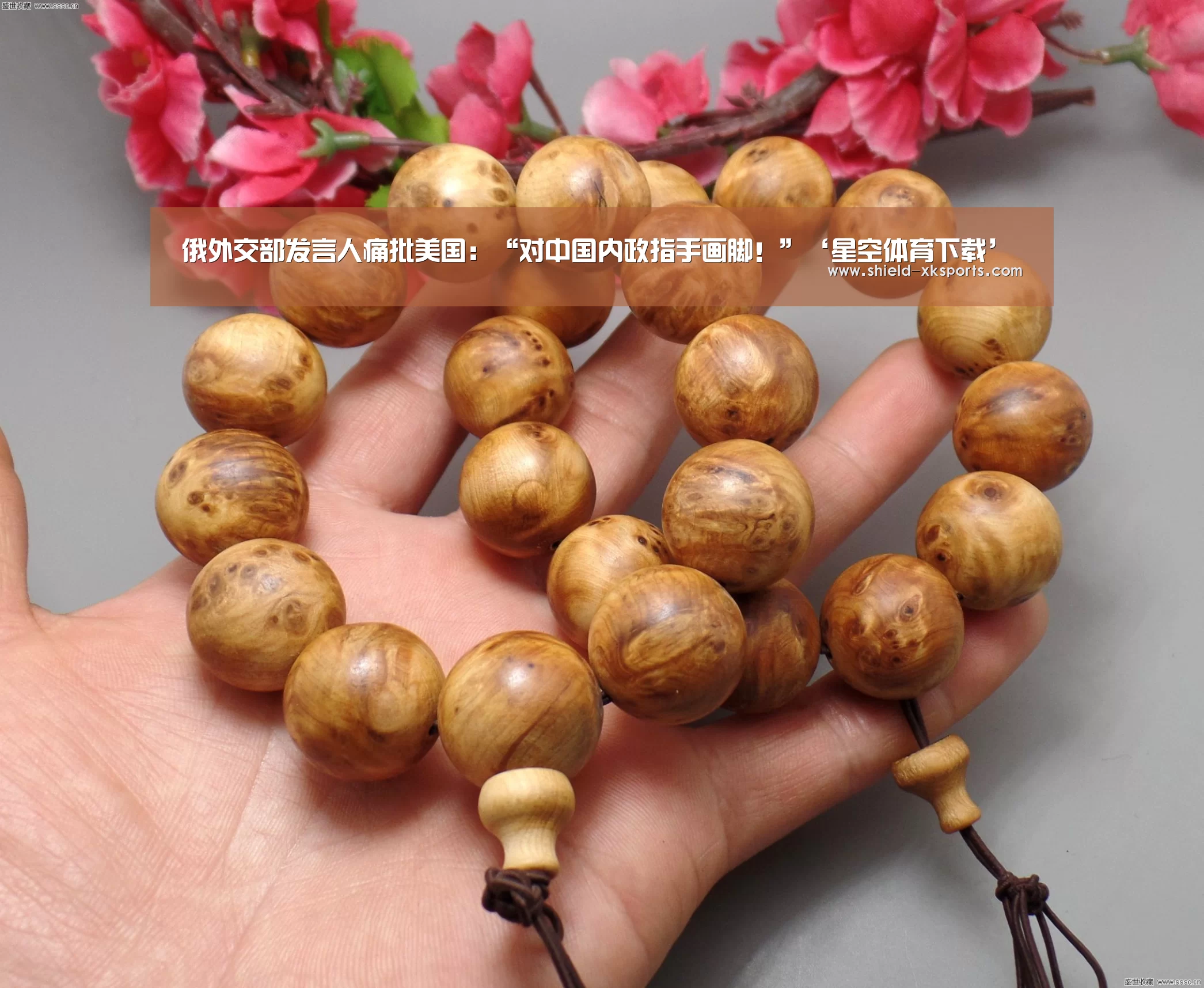 俄外交部发言人痛批美国:“对中国内政指手画脚!”‘星空体育下载’(图1) 星空体育app