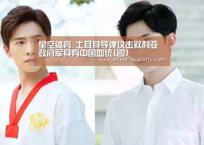 星空体育_土耳其导弹攻击叙利亚政府军具有中国血统(图)(图2) 星空体育app