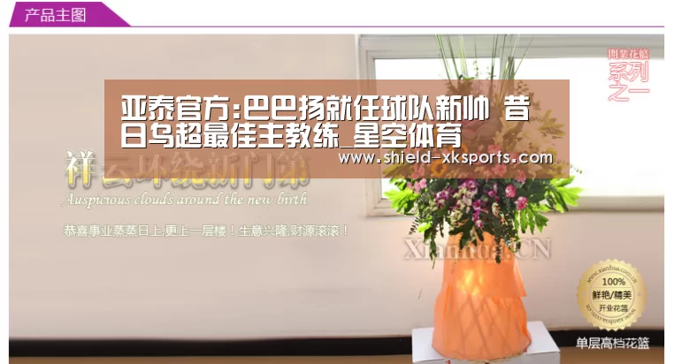 亚泰官方:巴巴扬就任球队新帅 昔日乌超最佳主教练_星空体育(图2) 星空体育